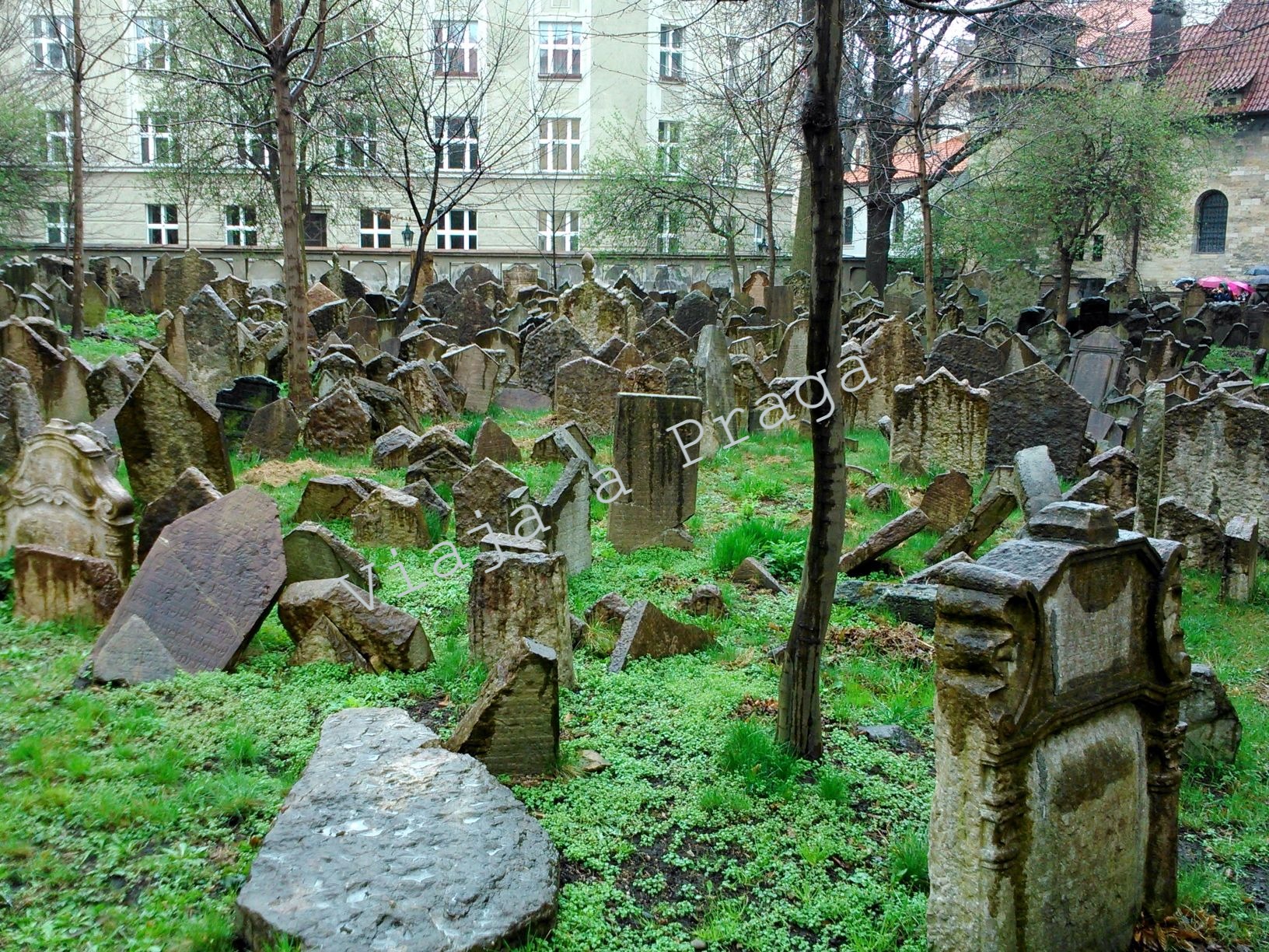 Antiguo cementerio Judío de Praga